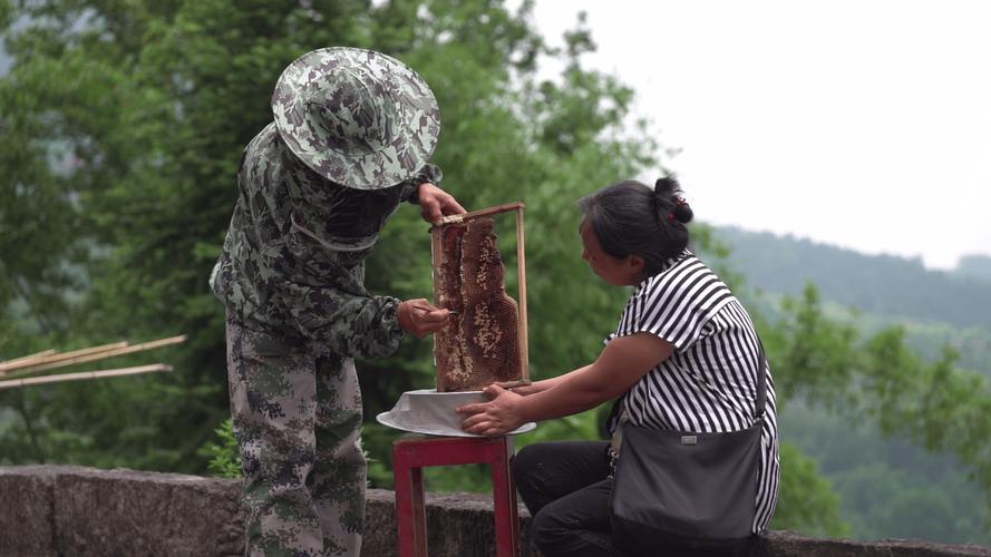 农村养蜂技术视频，新手能学会吗？-图2