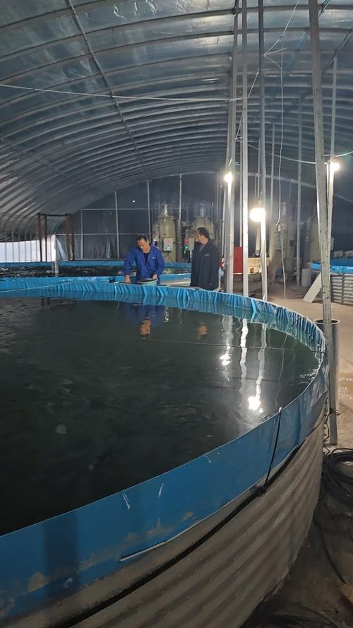 高产水产养鱼技术视频，如何高效养鱼？-图1