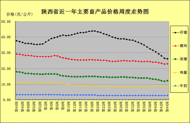 2025伊犁羊肉价格会涨还是跌？-图1