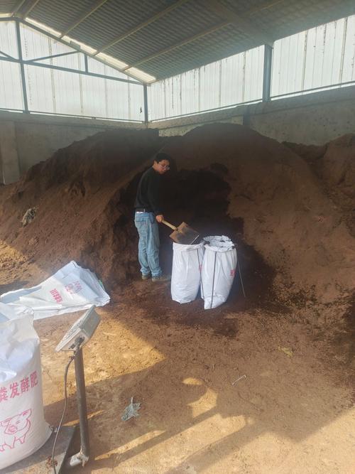 猪舍猪粪发酵视频怎么操作才高效?-图3 猪舍猪粪发酵视频怎么操作才高效?-图3
