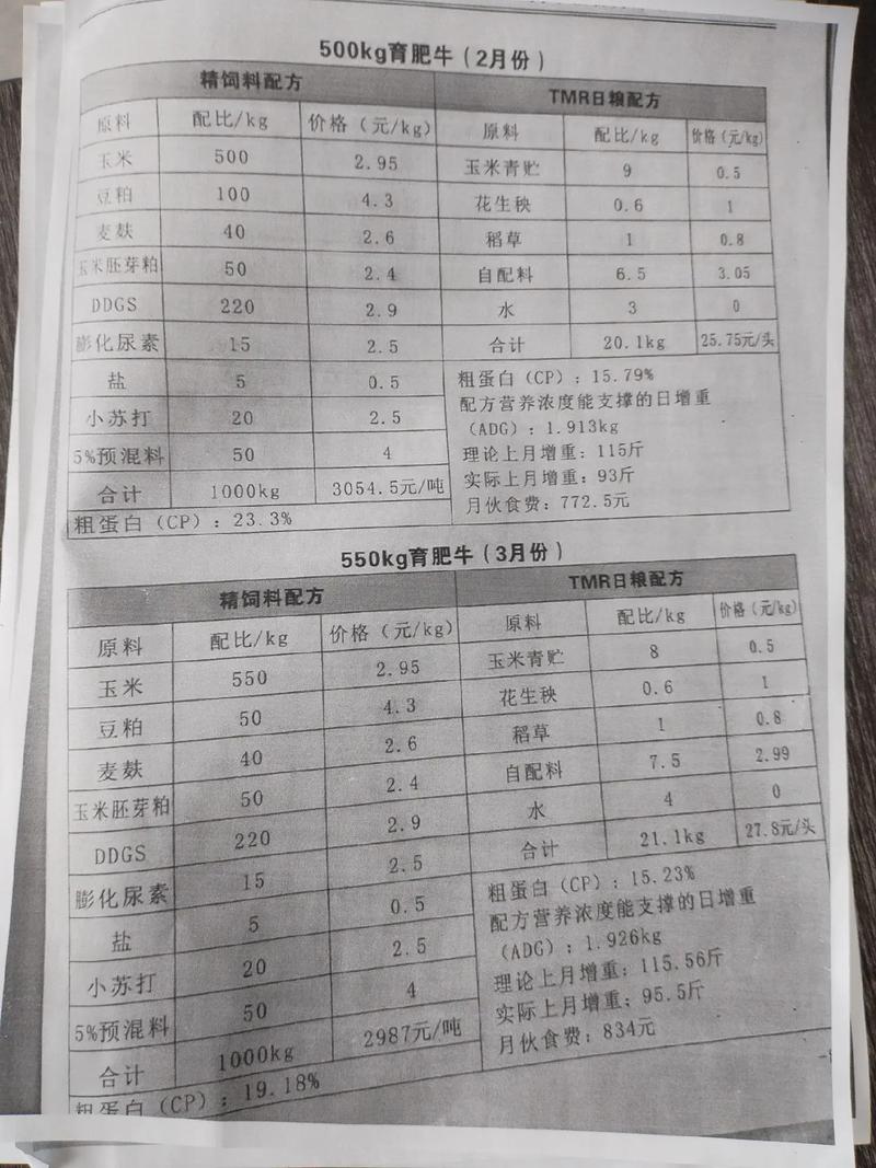 牧草发酵养牛配方怎么配？-图3
