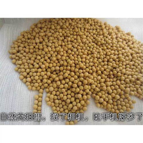 东升5号大豆品种有何特性与优势？-图2