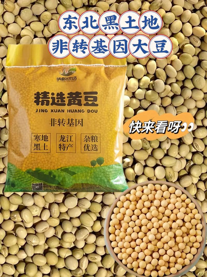 东升5号大豆品种有何特性？-图2