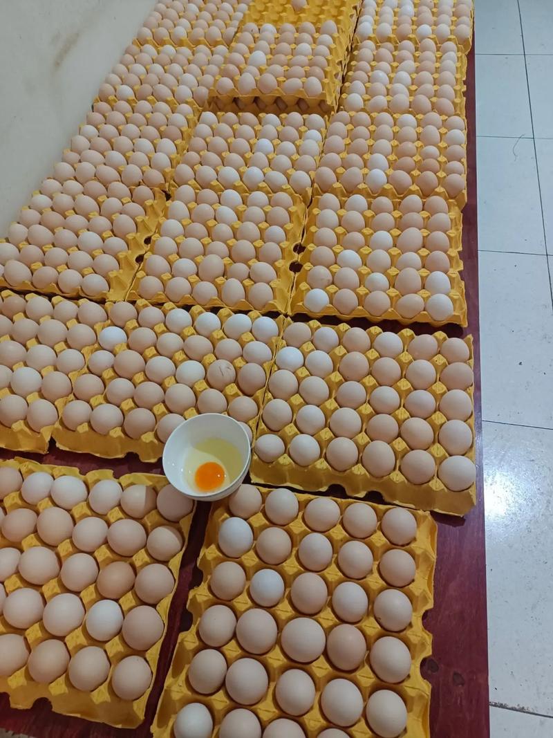 广东今日鸡蛋批发价多少钱一斤？-图3