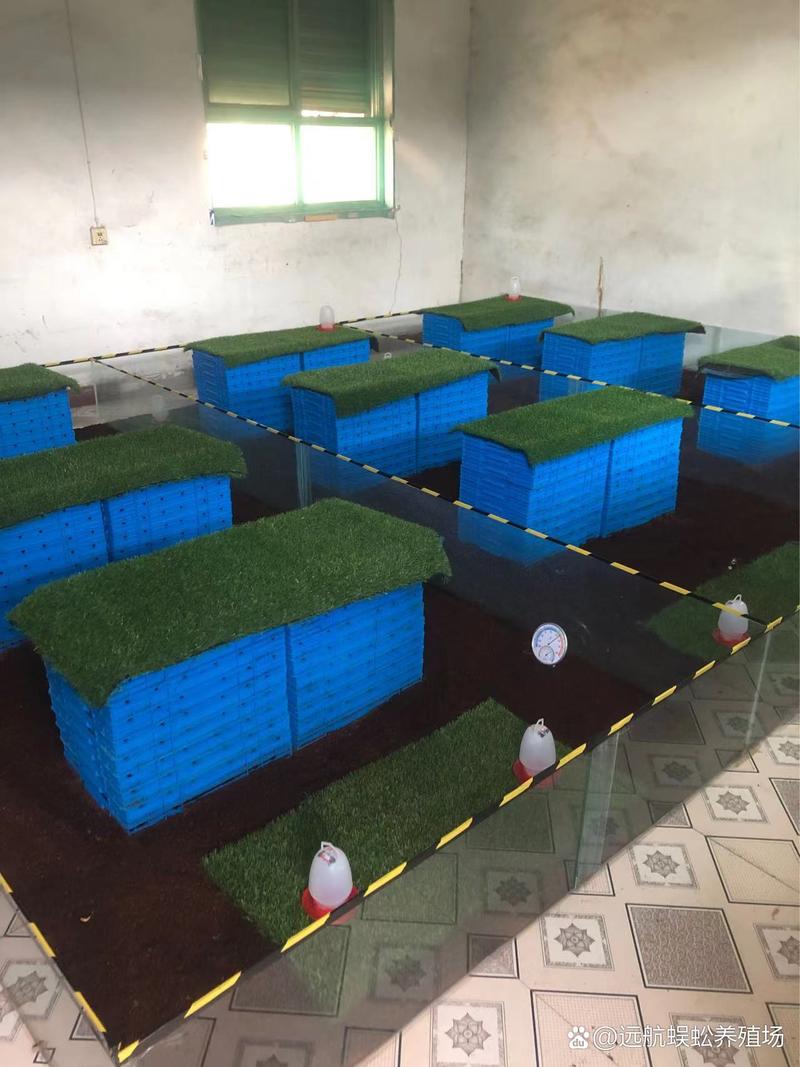 东北蜈蚣养殖技术视频怎么学?-图1 东北蜈蚣养殖技术视频怎么学?-图1