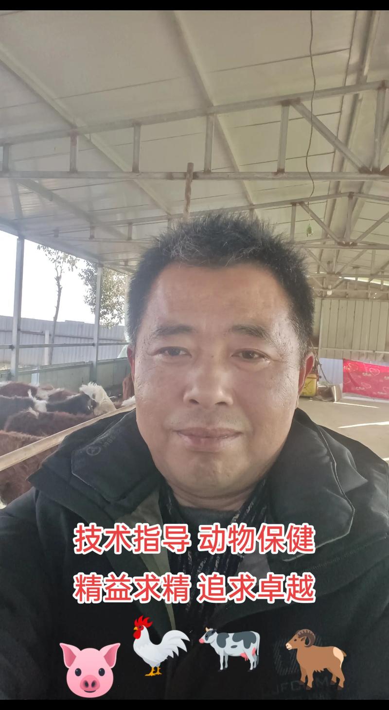 养牛技术教程全集视频,新手能学会吗?-图2 养牛技术教程全集视频,新手能学会吗?-图2