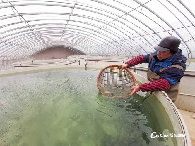 冬天室内水产养殖如何控温提效益?-图2 冬天室内水产养殖如何控温提效益?-图2