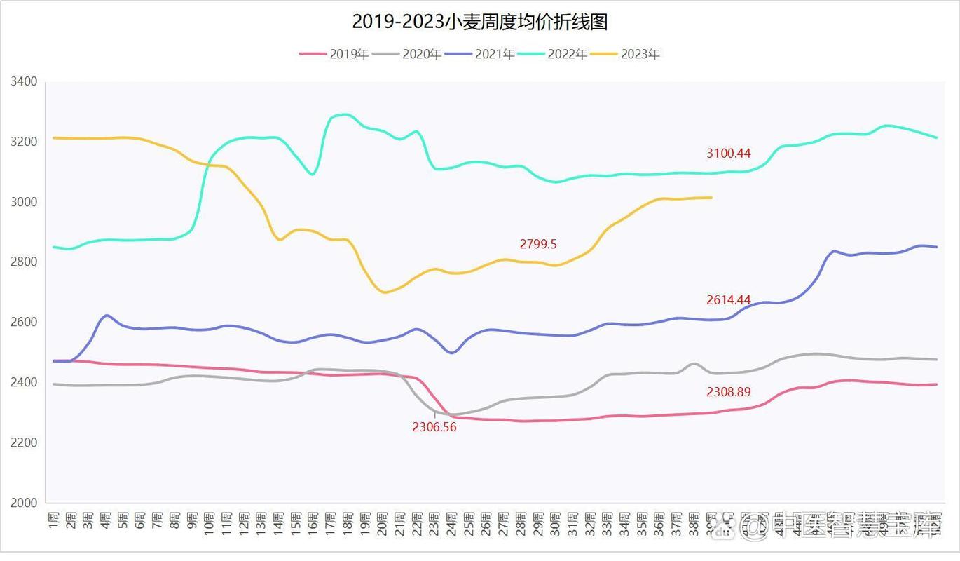 小麦最新价格走势如何？-图3