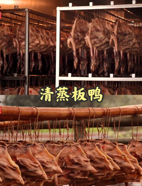 板鸭育肥饲养方法技术-图2 板鸭育肥饲养方法技术-图2