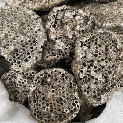 怎么买到蜂巢价格多少-图1 怎么买到蜂巢价格多少-图1