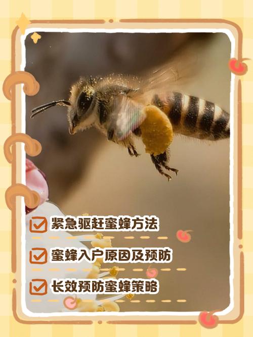 夏季蜜蜂如何复壮技术-图1