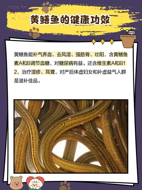 黄鳝养殖病害咋防治？关键点在哪？-图2