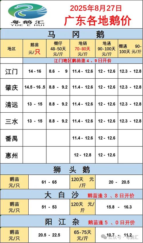 2025毛鸭行情价格会涨还是跌?-图2 2025毛鸭行情价格会涨还是跌?-图2