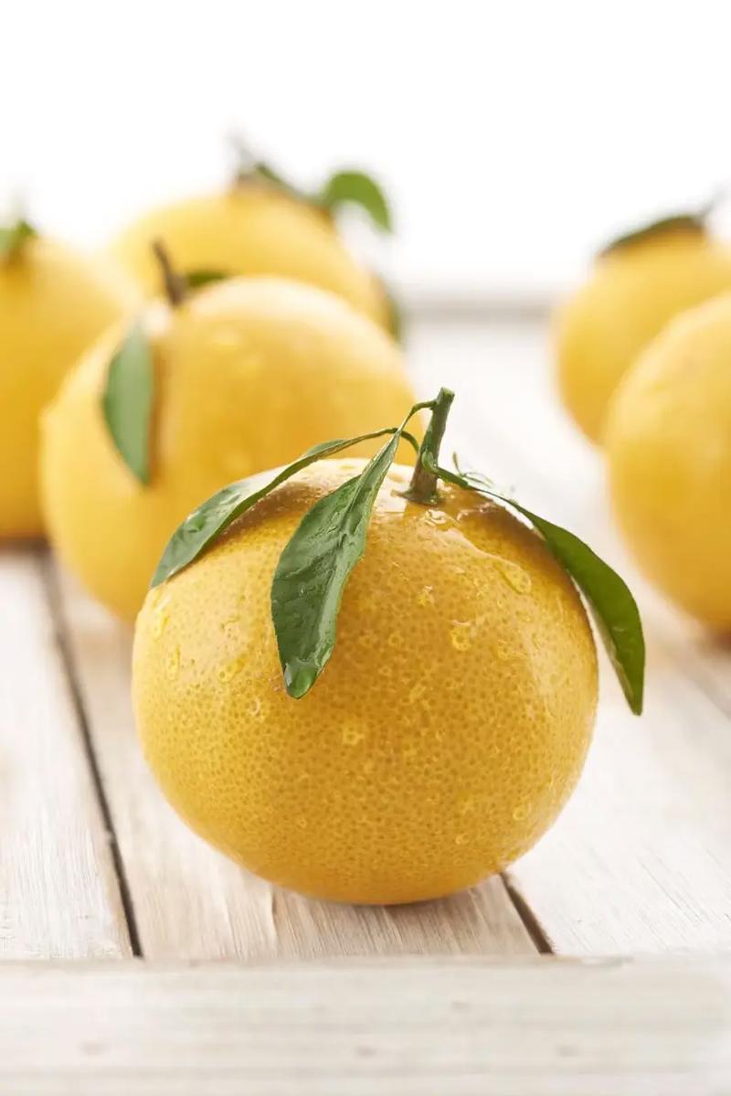 2025年柑桔新品种有哪些？-图3