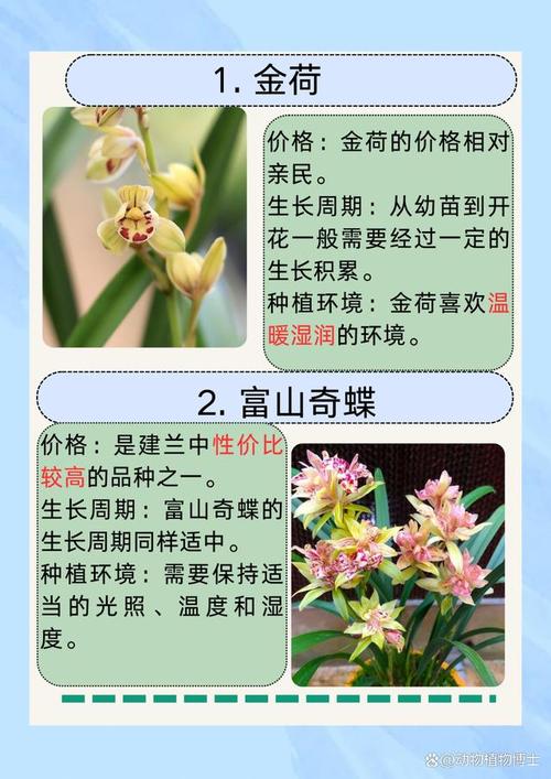 建兰和春兰，到底哪个更值得养？-图1