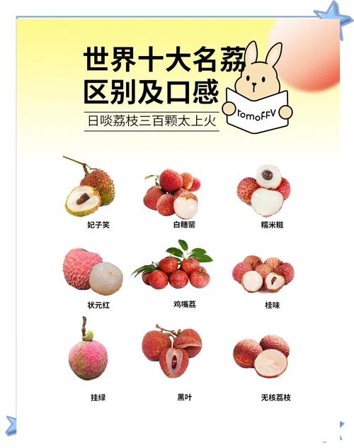 2025带绿荔枝价格-图1 2025带绿荔枝价格-图1