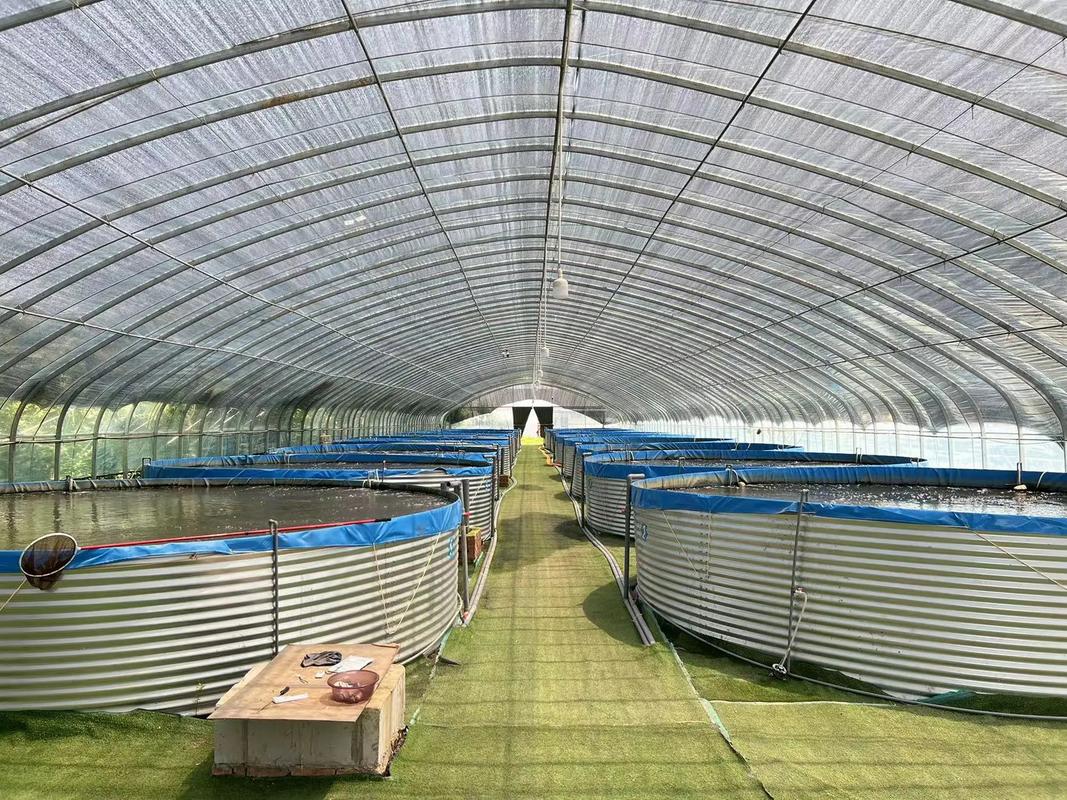 北方大棚淡水养鱼技术难点有哪些？-图1