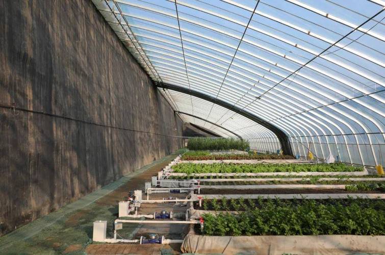 北方大棚淡水养鱼技术难点有哪些？-图3