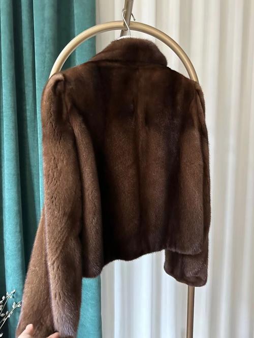 进口水貂品种哪个最好？-图1