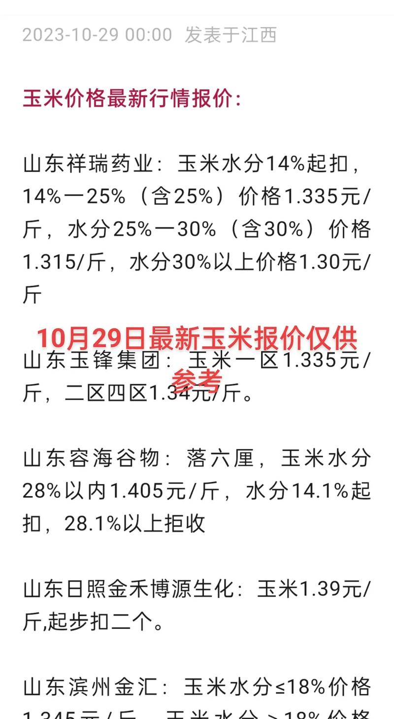 青岛平度玉米最新价格多少？-图1