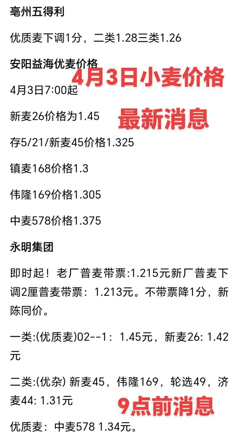 2025河南新麦价格会涨还是跌？-图3