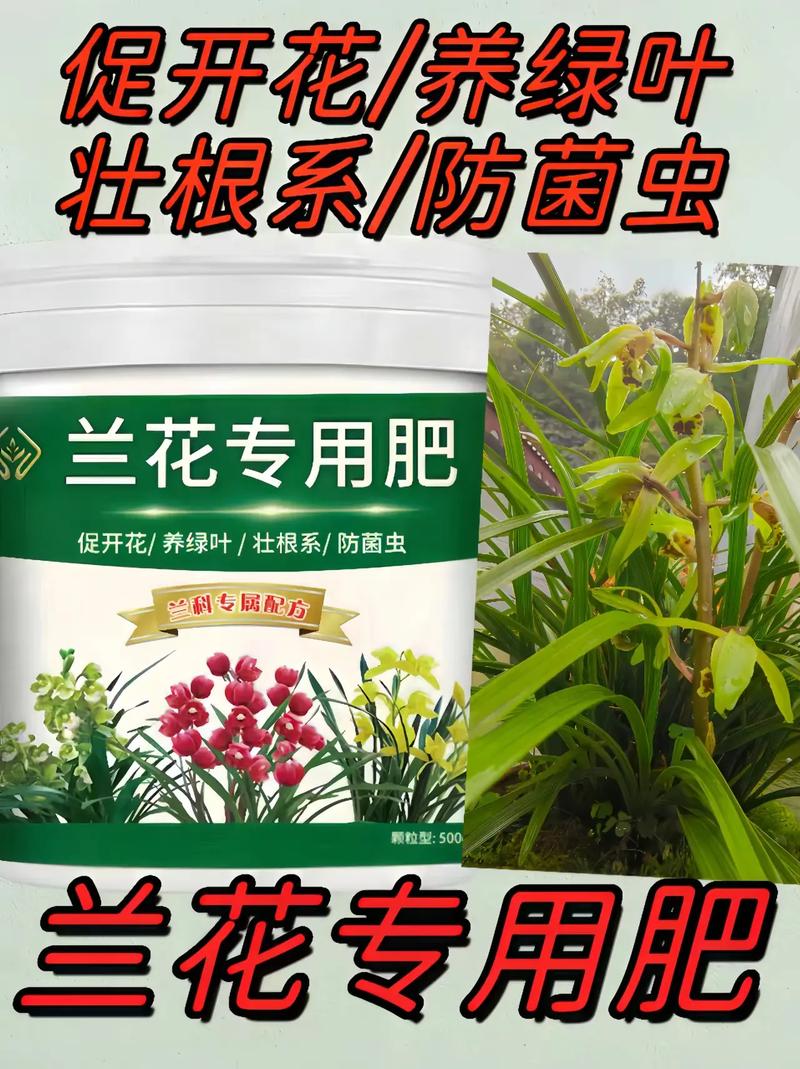 兰花肥的品种图片大全-图1