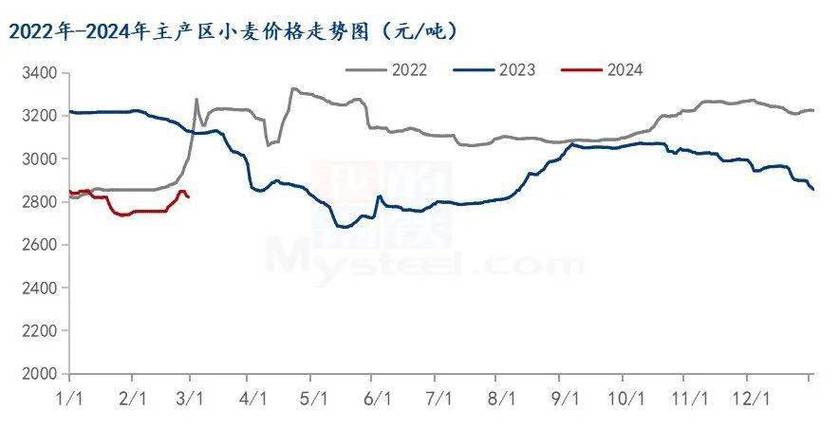 今年小麦价格走势如何？-图1