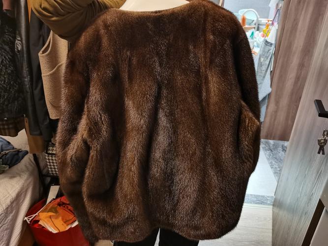 山东貂皮价格现在多少钱一斤?-图2 山东貂皮价格现在多少钱一斤?-图2