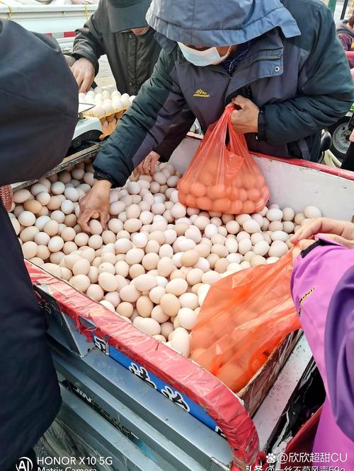 陕西大荔今日鸡蛋价格多少钱一斤？-图3