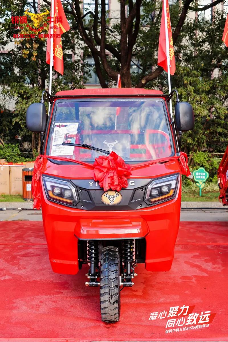 2025牛价格亮中桥-图2