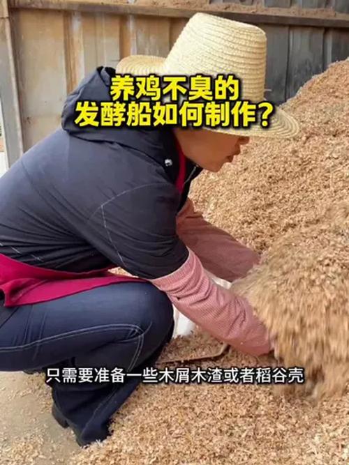 益生菌养鸡床怎么制作？-图1