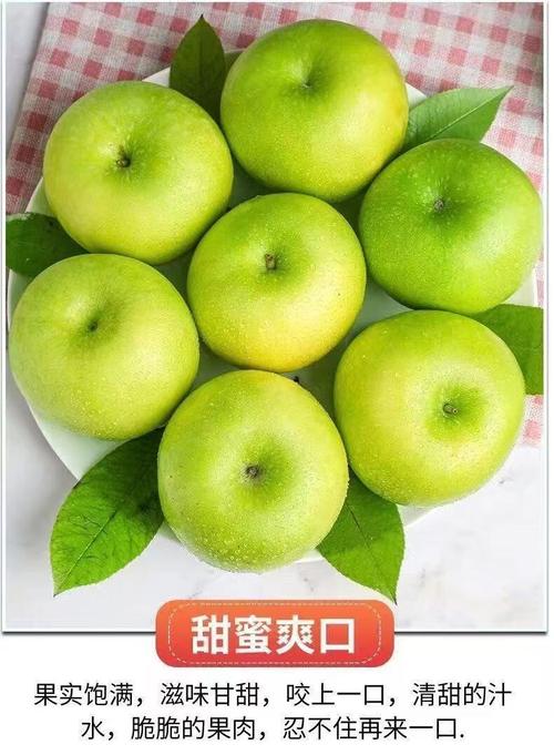 常见的绿色苹果品种有哪些?-图1 常见的绿色苹果品种有哪些?-图1