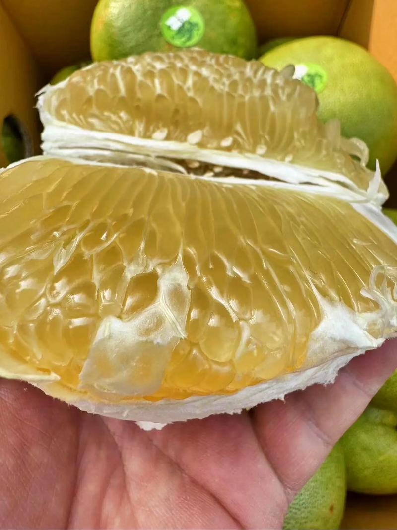 哪种柚子籽个头最大？-图3