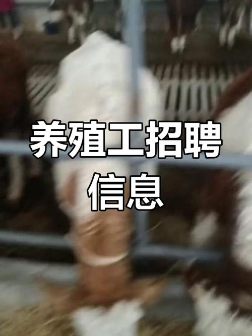 水产养殖技术总裁岗，有何核心能力要求？-图2