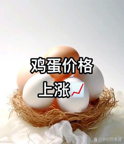 青岛今日鸡蛋价格多少钱一斤？-图3