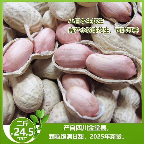 2025年花生角价格会涨还是跌？-图3