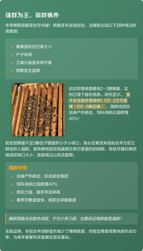 蜜蜂越冬管理，核心要点有哪些？-图3