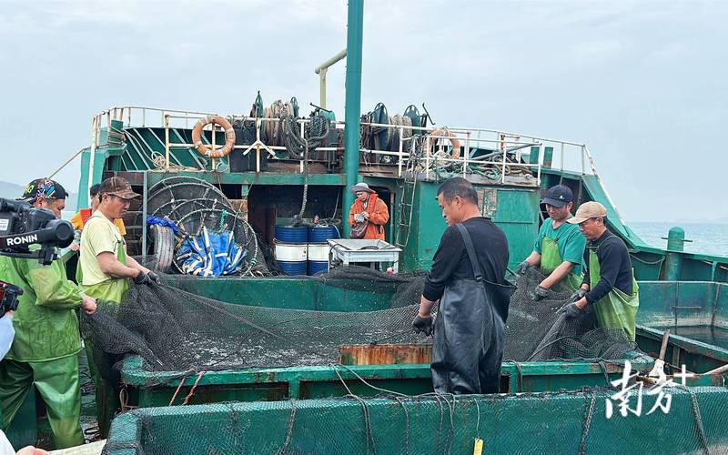 海蜇池塘立体养殖技术怎么搞？-图3