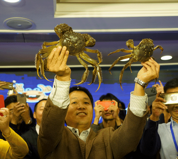 河蟹价格最新行情如何？-图2