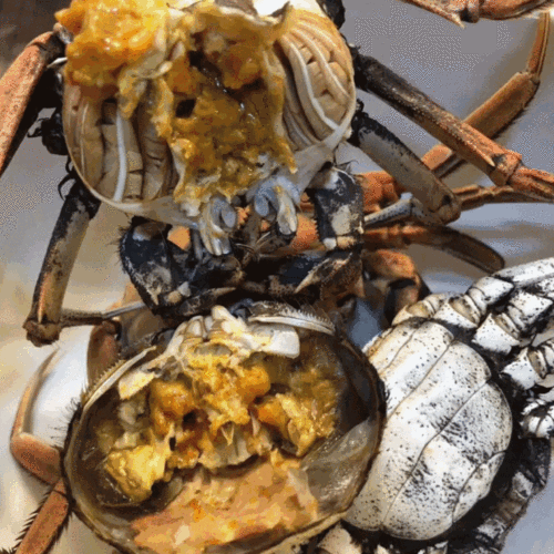 河蟹价格最新行情如何？-图3