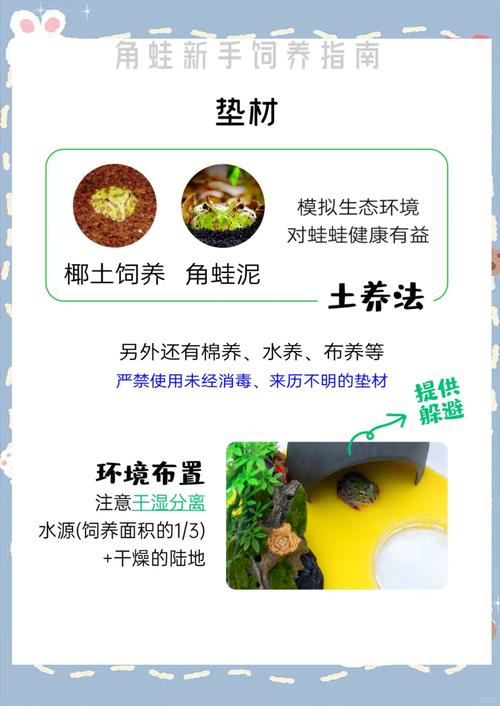 养殖青蛙哪有技术提供-图2 养殖青蛙哪有技术提供-图2