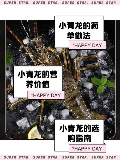 龙虾不同品种价格差异有多大？-图3