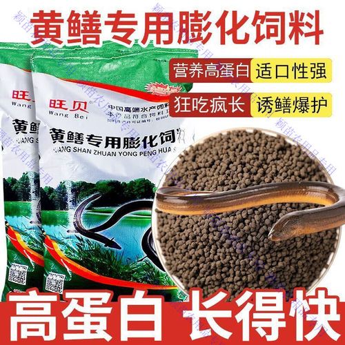 黄鳝养殖教程哪里下载？-图3