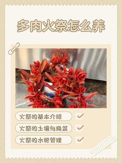 花卉火鸡养殖技术有哪些关键要点？-图2