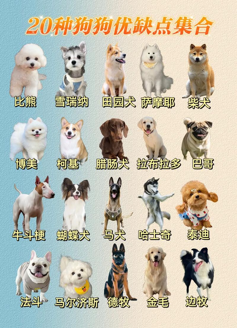 肉狗品种有哪些？图片大全看这里！-图2
