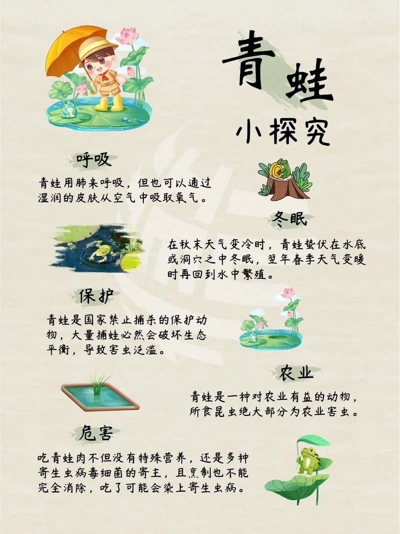 青蛙养殖如何有效预防疾病？-图2