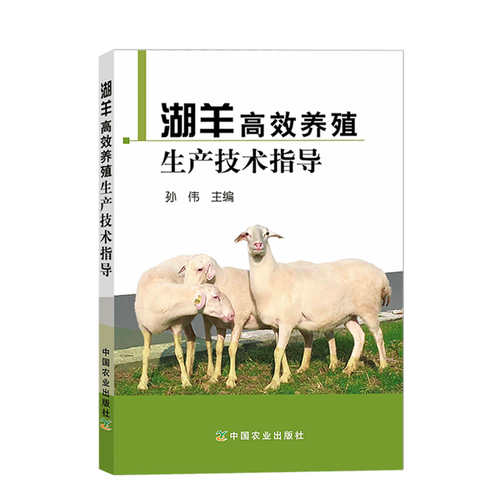 湖羊养殖光盘如何防治疾病？-图1