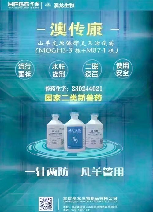 湖羊养殖光盘如何防治疾病？-图2