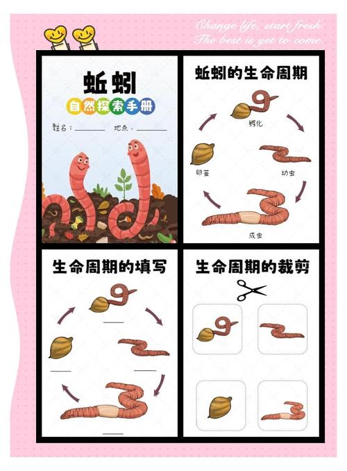 蚯蚓养殖新技术PDF有哪些要点？-图1