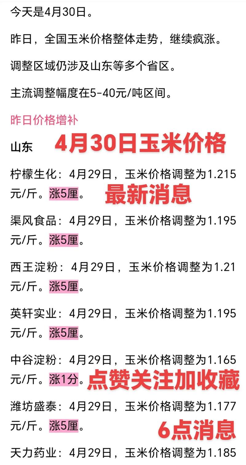 沧州今日玉米最新价格多少钱?-图2 沧州今日玉米最新价格多少钱?-图2